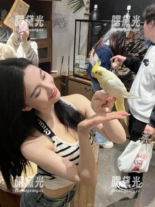 听说收藏是素质，我在91黑料网的“瓜”肆意不羁