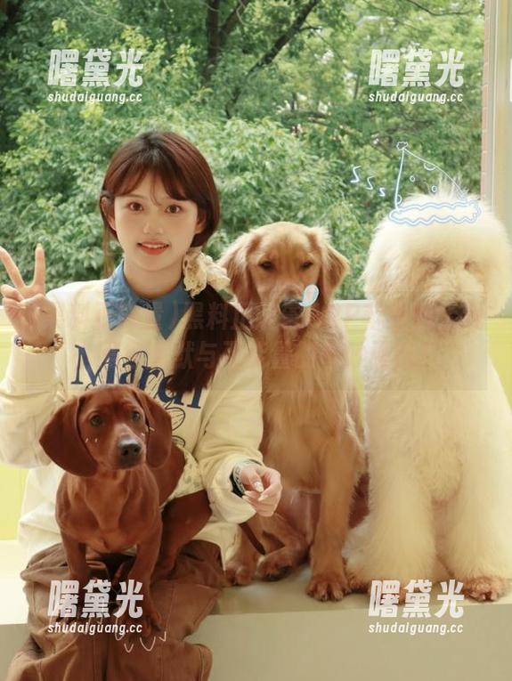 黑料正能量 黑料正能量APP苹果版上线,黑色幽默与正能量的奇妙碰撞!